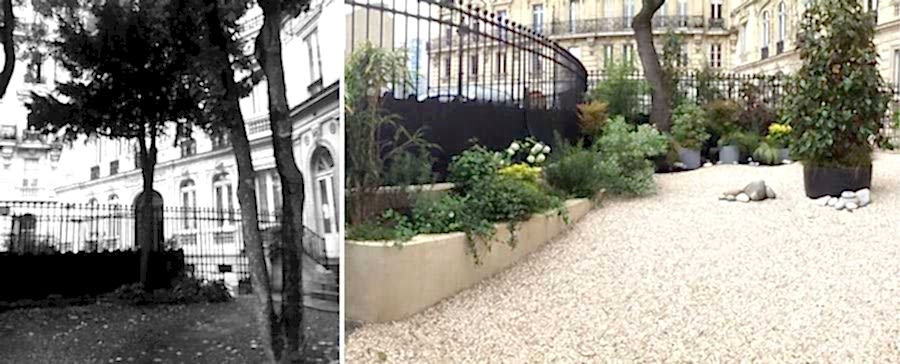 Avant-Après : aménagement aménagement d'une cour intérieure par un jardinier paysagiste