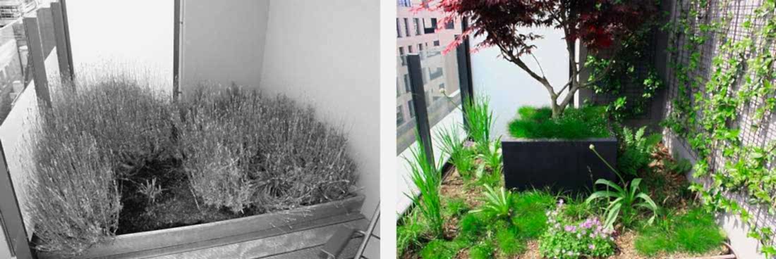 Terrasse réalisée par un jardinier paysagiste à Paris