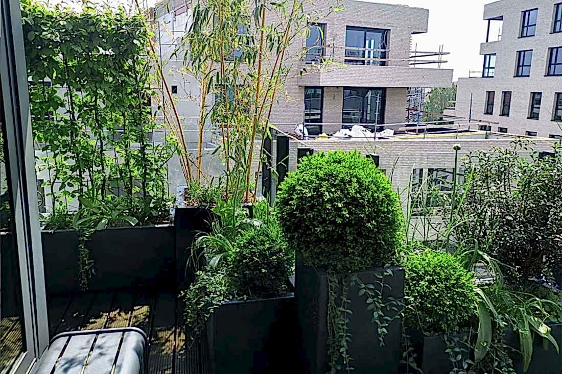 Terrasse-aménagé pour éviter le vis-à-vis avec immeuble situé en face