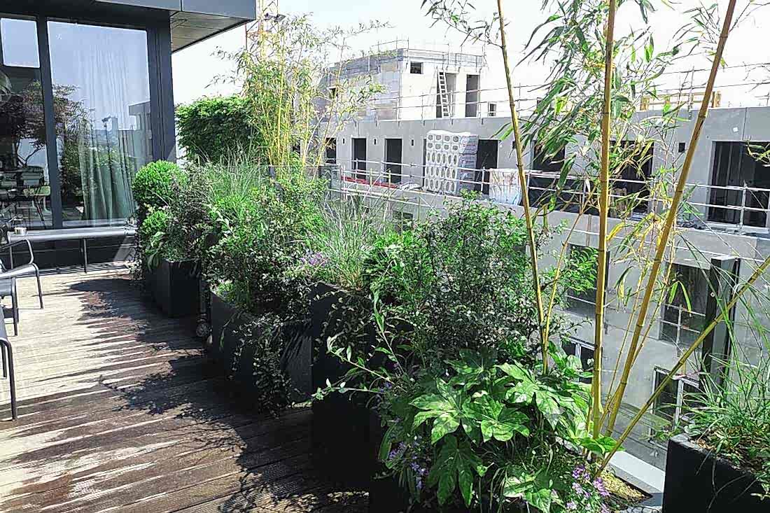 Terrasse aménagée par un jardinier-paysagiste