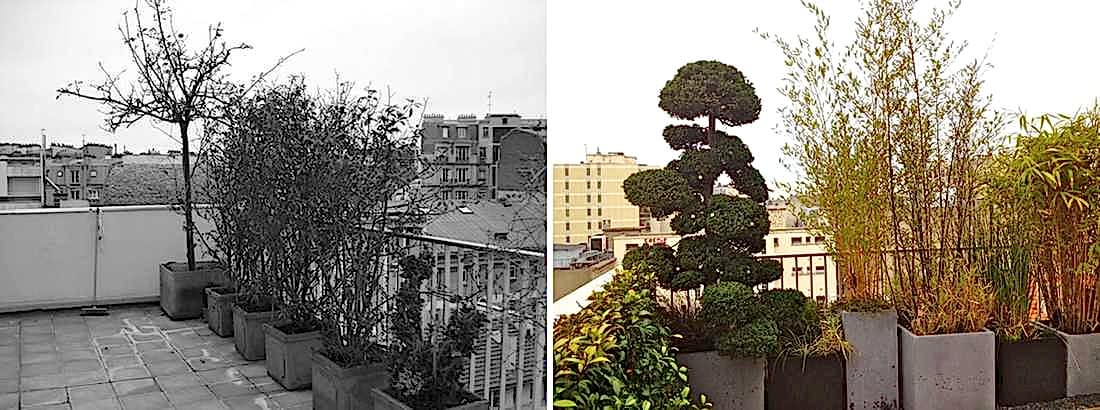 Avant - Après : Aménagement paysagé d'une terrasse avec vue à Paris