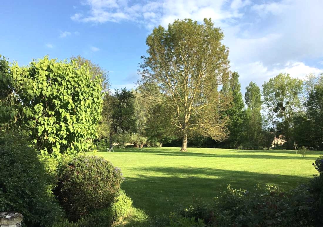 Pelouse d'un jardin de villegiature