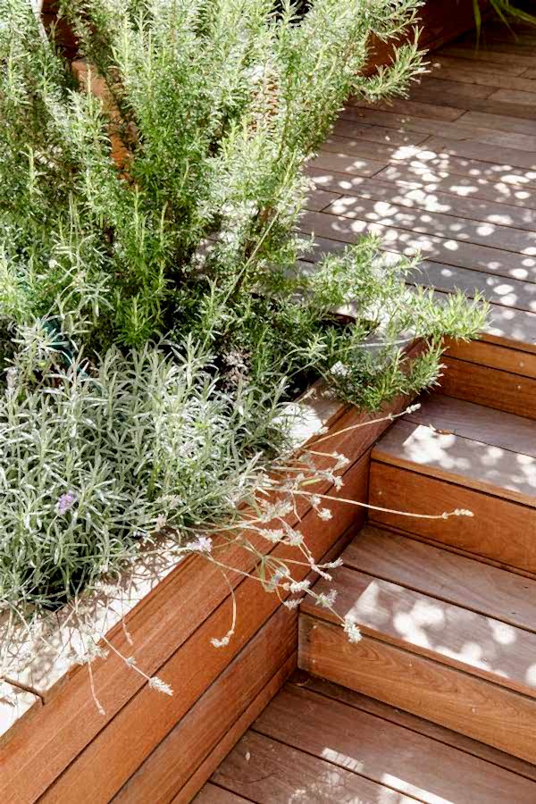 Aménagement d'une terrasse en bois - esprit méditérranéen - végétation méditéranéenne 