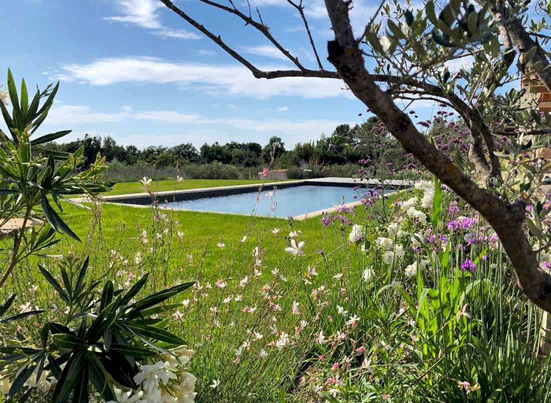 Une piscine rectangulaire au cœur de la nature - la végétation provençale