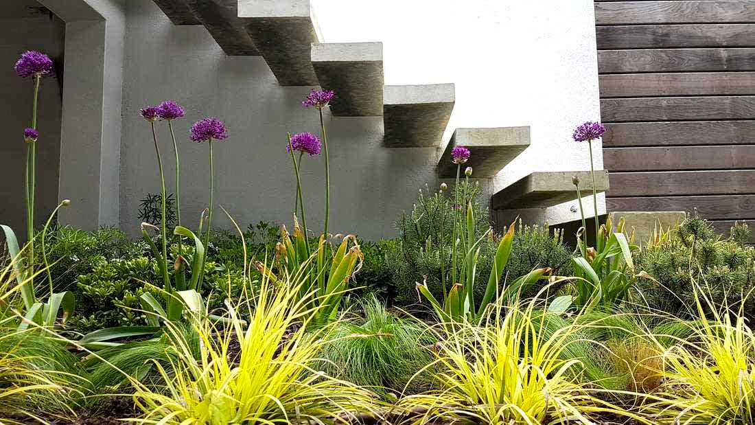 Escalier à marchers flottantes dans un jardin contemporain