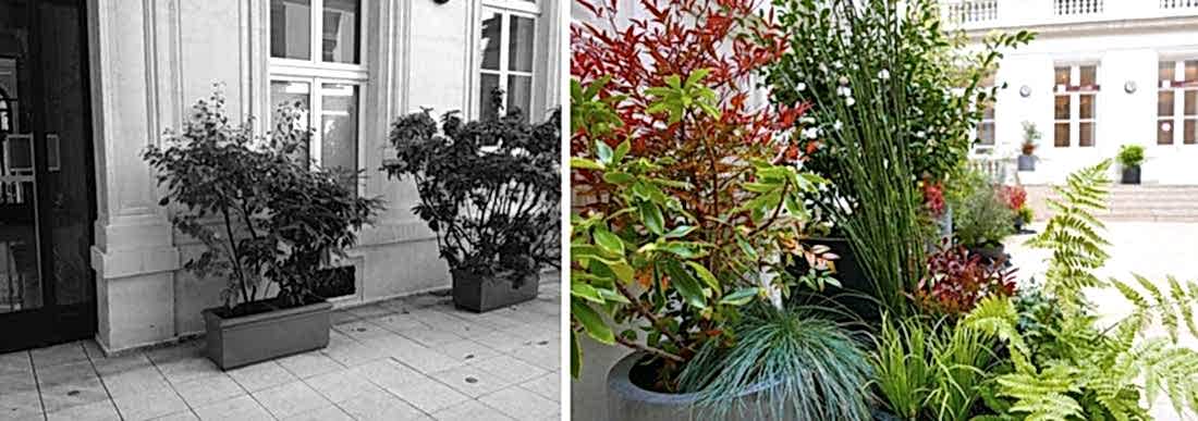 Un jardinier paysagiste aménage la cour intérieure d'un hôtel particulier à Paris