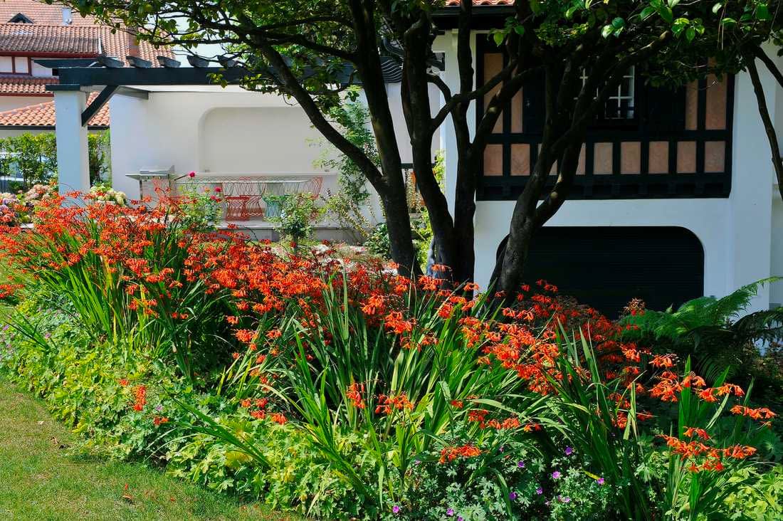 Aménagement paysager autour d'une maison basque - massif de fleurs dans le jardin