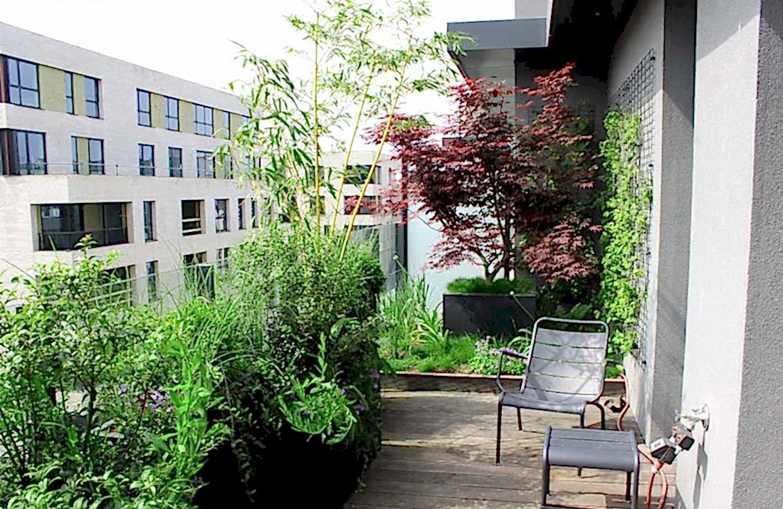 Aménagement paysager de la terrasse d'un appartement-penthouse à Paris