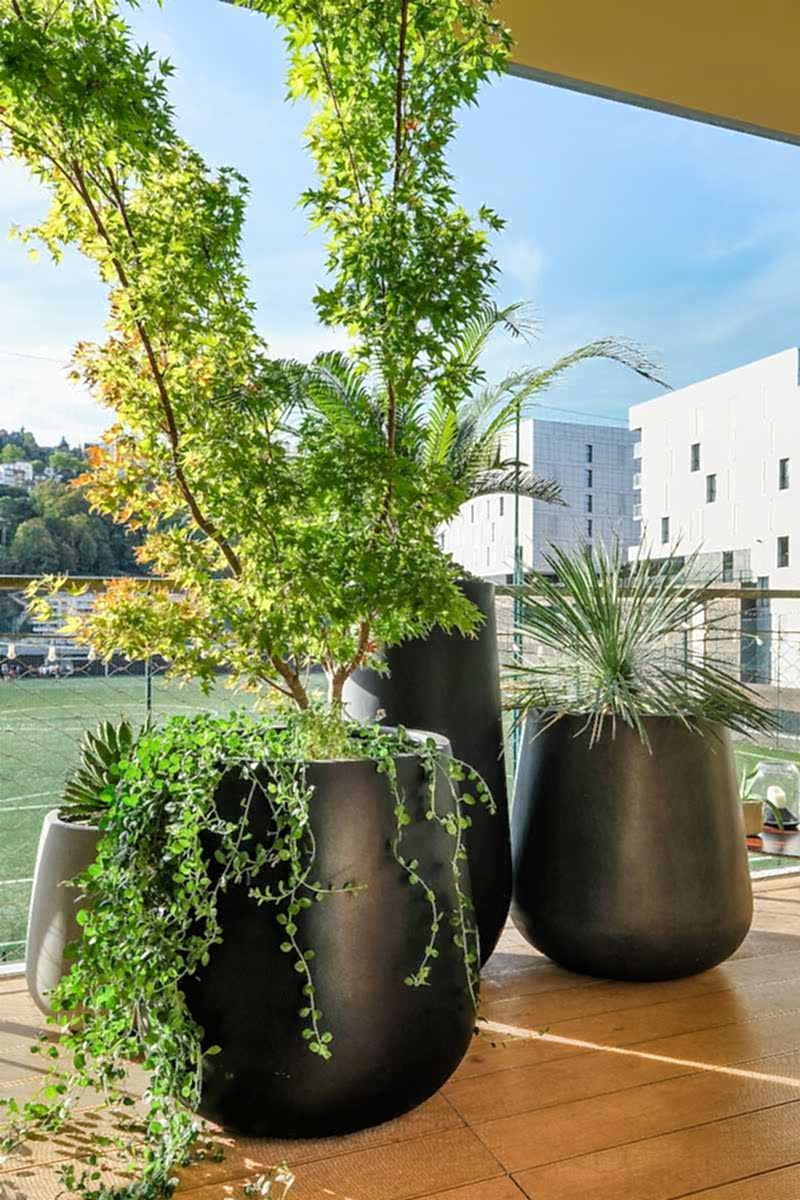 Optimisation et végétalisation d'une petite terrasse - le coin détente avec gros pot de plantes vertes