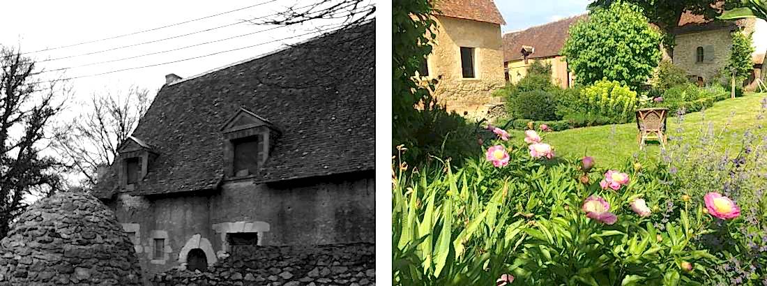 Avant-après : friche transformée en jardin par un paysagiste