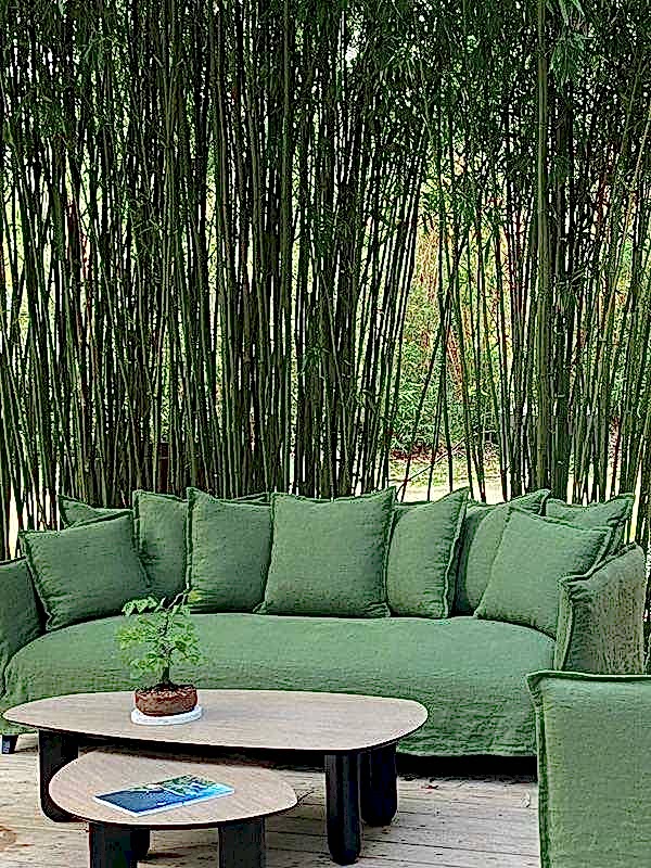 Aménagement d'un hôtel 4 étoiles ecolodge - extérieur avec canapé