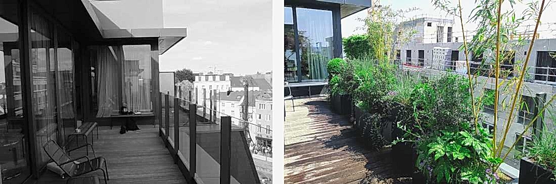 Avant-après : végétation d'une terrasse pour éviter le vis-à-vis