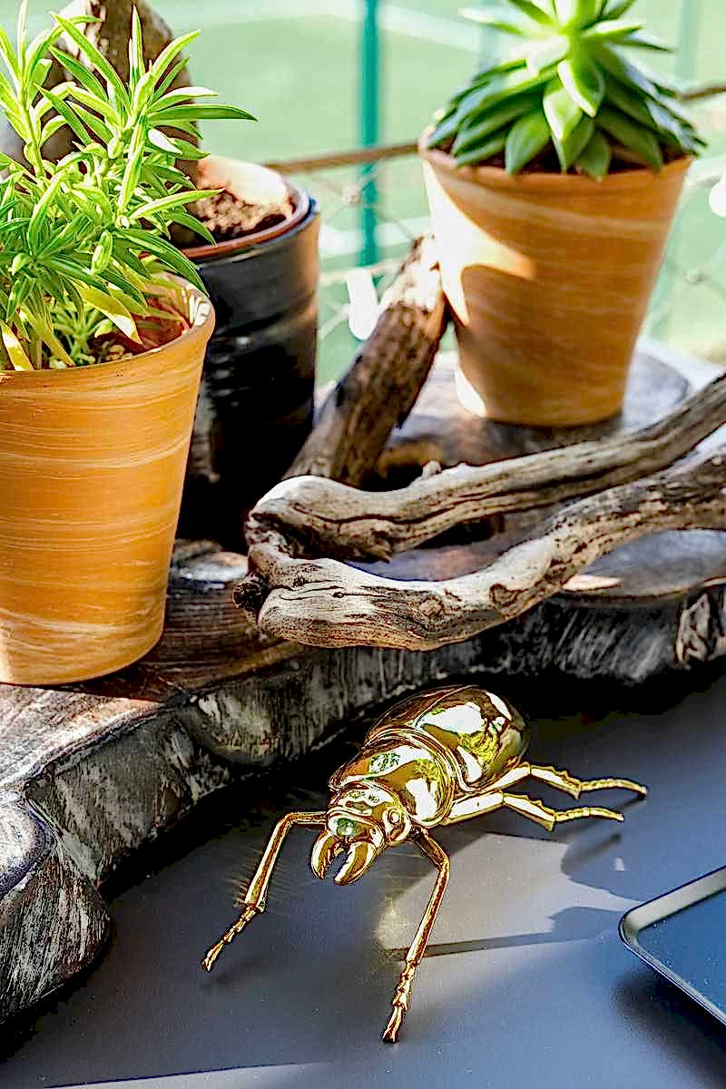 Optimisation et végétalisation d'une petite terrasse - le coin détente avec décoration